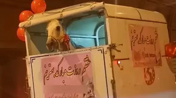 فیلم حمل اسب در خیابان های تهران