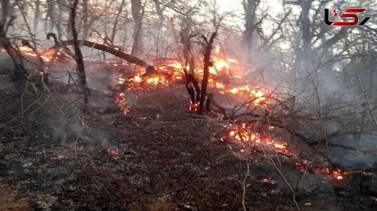 باد شدید آتش جنگل‌های گلستان را شعله‌ور کرد