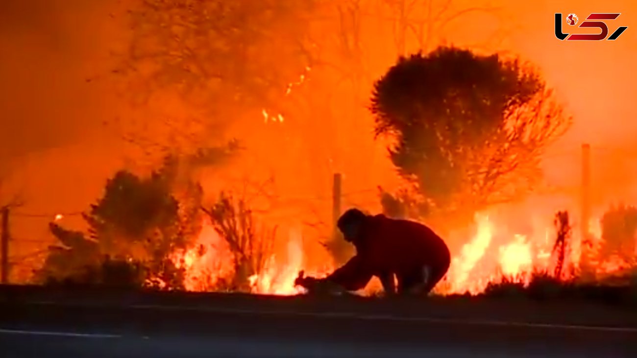 فیلم لحظه نجات یک خرگوش توسط مرد فداکار از دل آتش‌سوزی مهیب + عکس