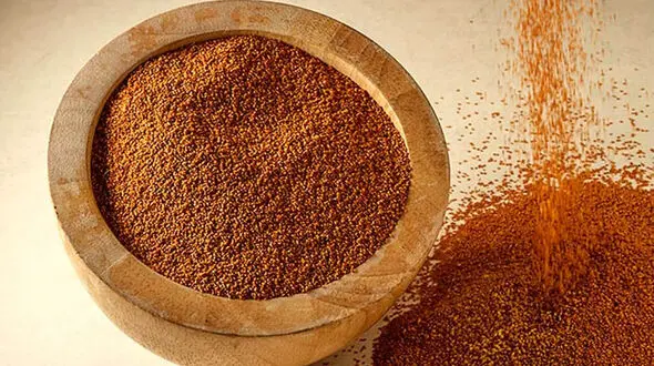 5 مورد از خواص ترکیبی خاکشیر 