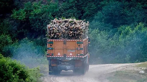 تهدید به مرگ هیرکانی با فعالیت معادن / انتقال اسناد مالکیت عرصه‌های طبیعی به دستگاه‌های اجرایی در تضاد با منافع ملی است