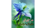 فال ابجد امروز / 20 تیر + فیلم