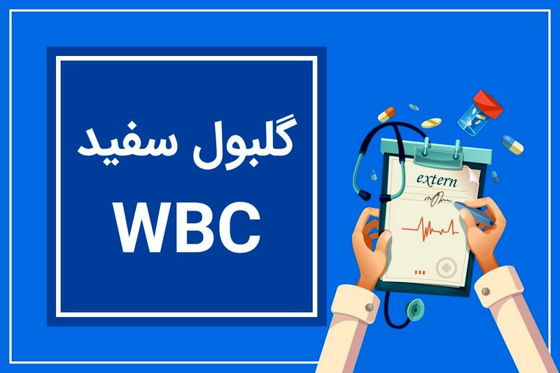 wbc در آزمایش خون