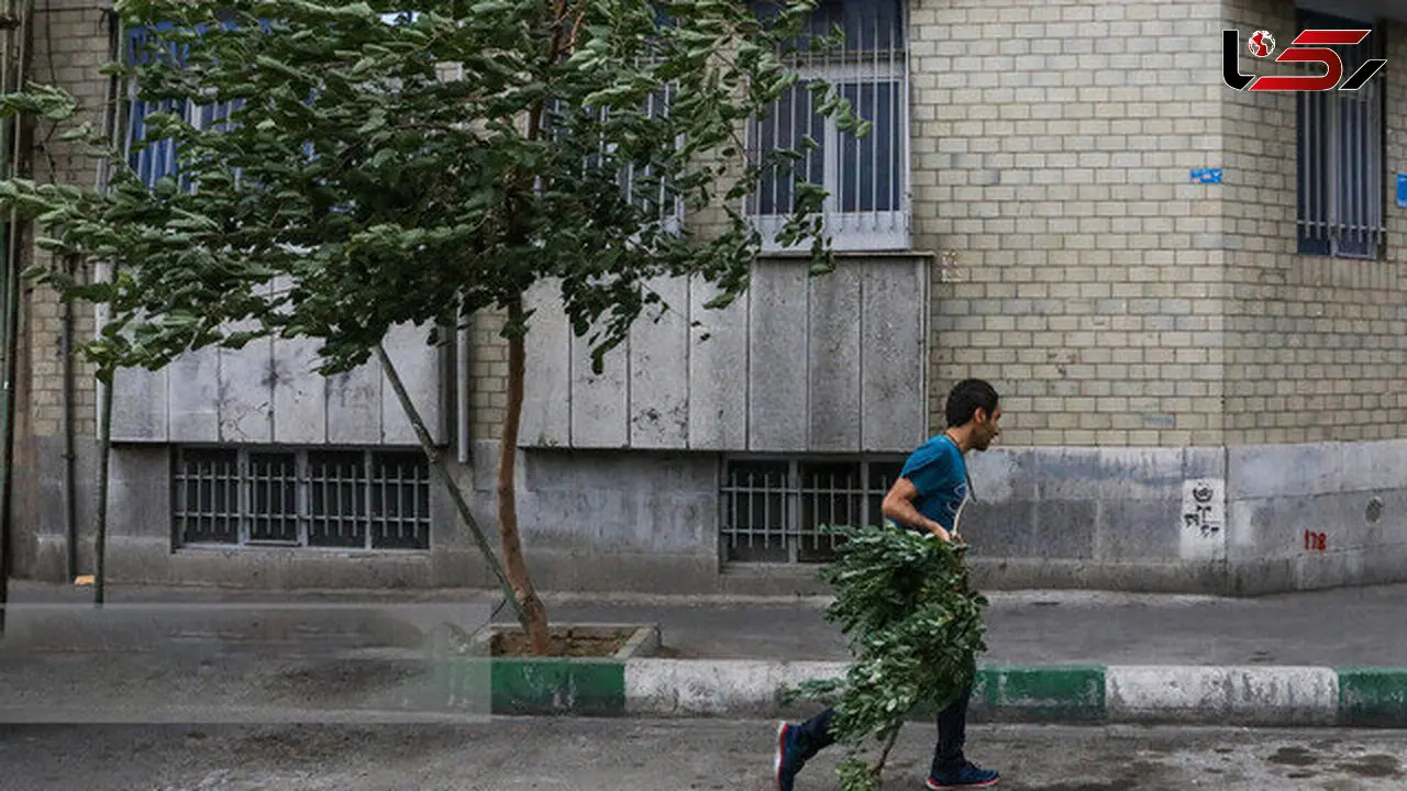 هشدار هواشناسی تهران؛ وزش باد شدید، گردوخاک و رگبار در راه است