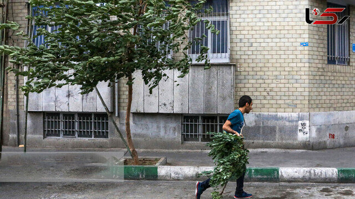  هشدار زرد رنگ فعالیت سامانه بارشی و وزش باد شدید در تهران 