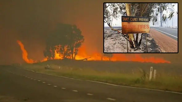 آتش سوزی در جنگل/ 2 هزار آتش نشان اعزام شدند + تصاویر