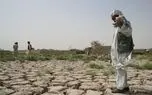 افزایش آمار مهاجرت با وقوع خشکسالی/ مشاغلی که با خشکسالی از بین می روند
