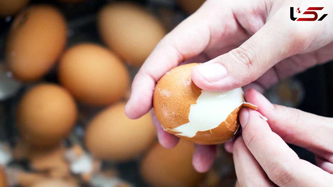 زمان و نوع پختن تخم مرغ مطابق میل تان / فیلم
