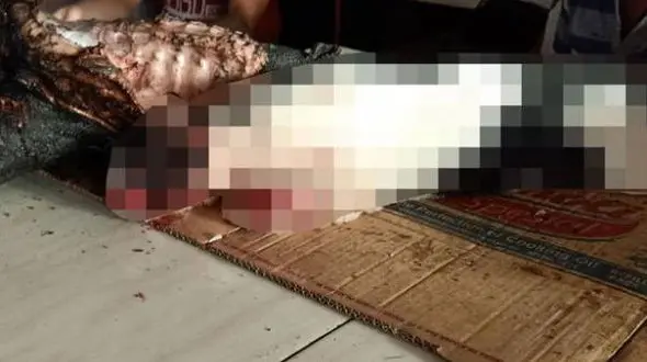 پشت پرده فروش گوشت سگ در ماهان + جزییات