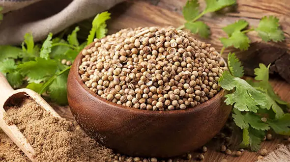  10 خاصیت درمانی گشنیز خشک 