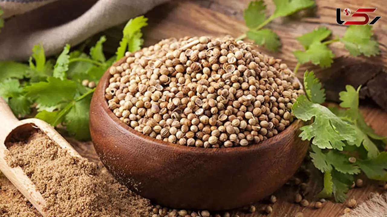  10 خاصیت درمانی گشنیز خشک 