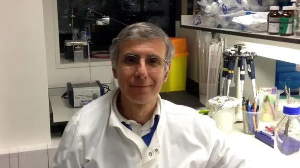 دانشمندان نسبت به مصرف تراریخته‌ها هشدار دادند