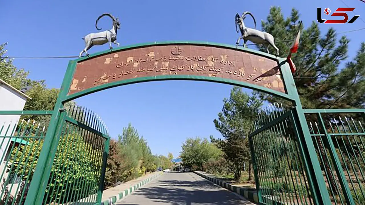فعالیت موزه تنوع زیستی تهران از امروز تا 13 فروردین + آدرس و ساعات فعالیت