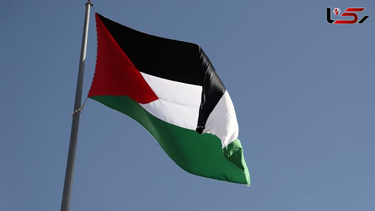  فلسطین روغن زیتون را به کشورهای عربی صادر می کند
