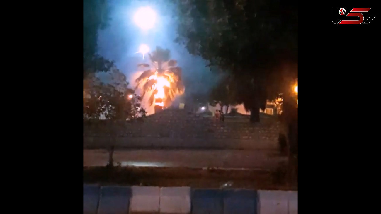 آتش زدن درخت نخل برای ترساندن اهالی یک محل در آبادان  + فیلم