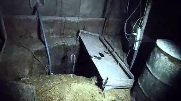 حفاران غیر مجاز دهگلان در دام قانون افتادند