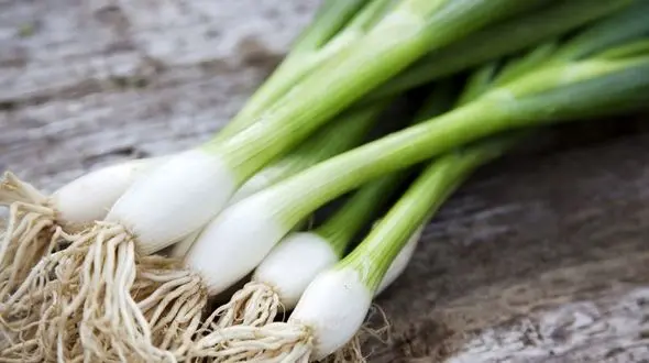 از این پر خاصیت 9 کاره غافل نشوید 