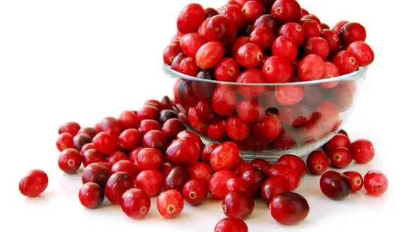  7خوشمزه ای که جلوی سرطان بی سر و صدای زنان می ایستد