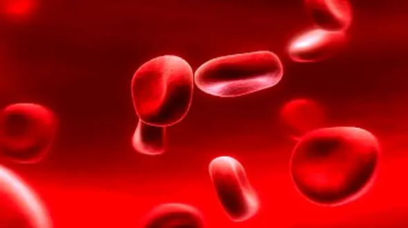 درمان کم خونی با ترکیبات غذایی مفید