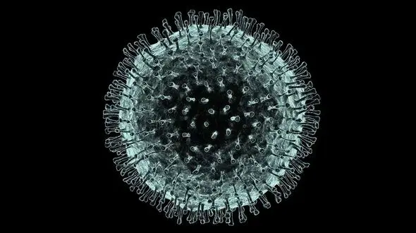 شیوع ویروس مهلک جدید / رقیب کرونا پیدا شد 