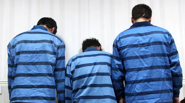 شگرد دزدان شمال تهران در شناسایی خانه های خالی + فیلم گفتگو و هشدار