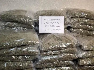 بازداشت گل فروش سعادت‌آباد با ۷ کیلو گل!