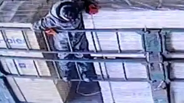 ببینید/ اینجا چند احمق سر کار هستند