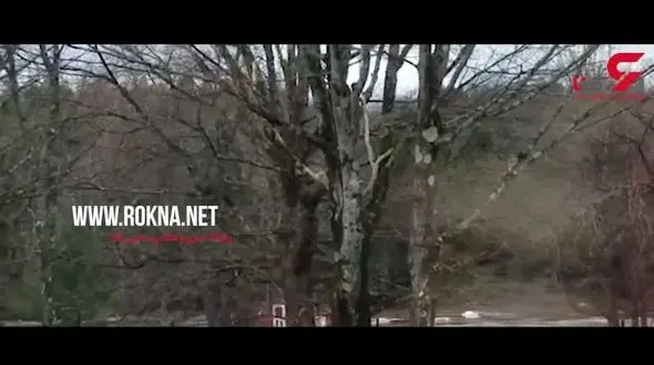 سیل خانه یک آمریکایی را با خود برد + فیلم 