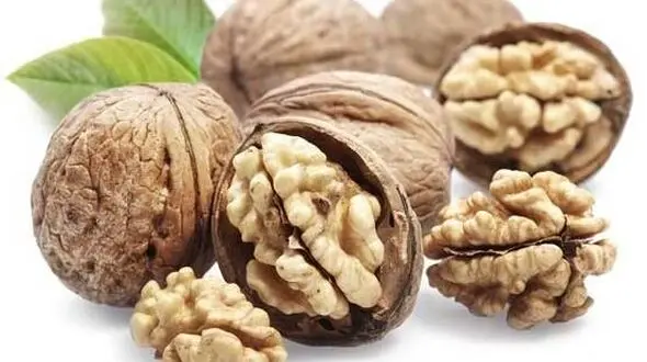 خواص شگفت‌انگیز گردو در درمان ناباروری مردان