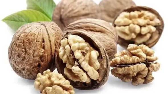 خواص شگفت‌انگیز گردو در درمان ناباروری مردان