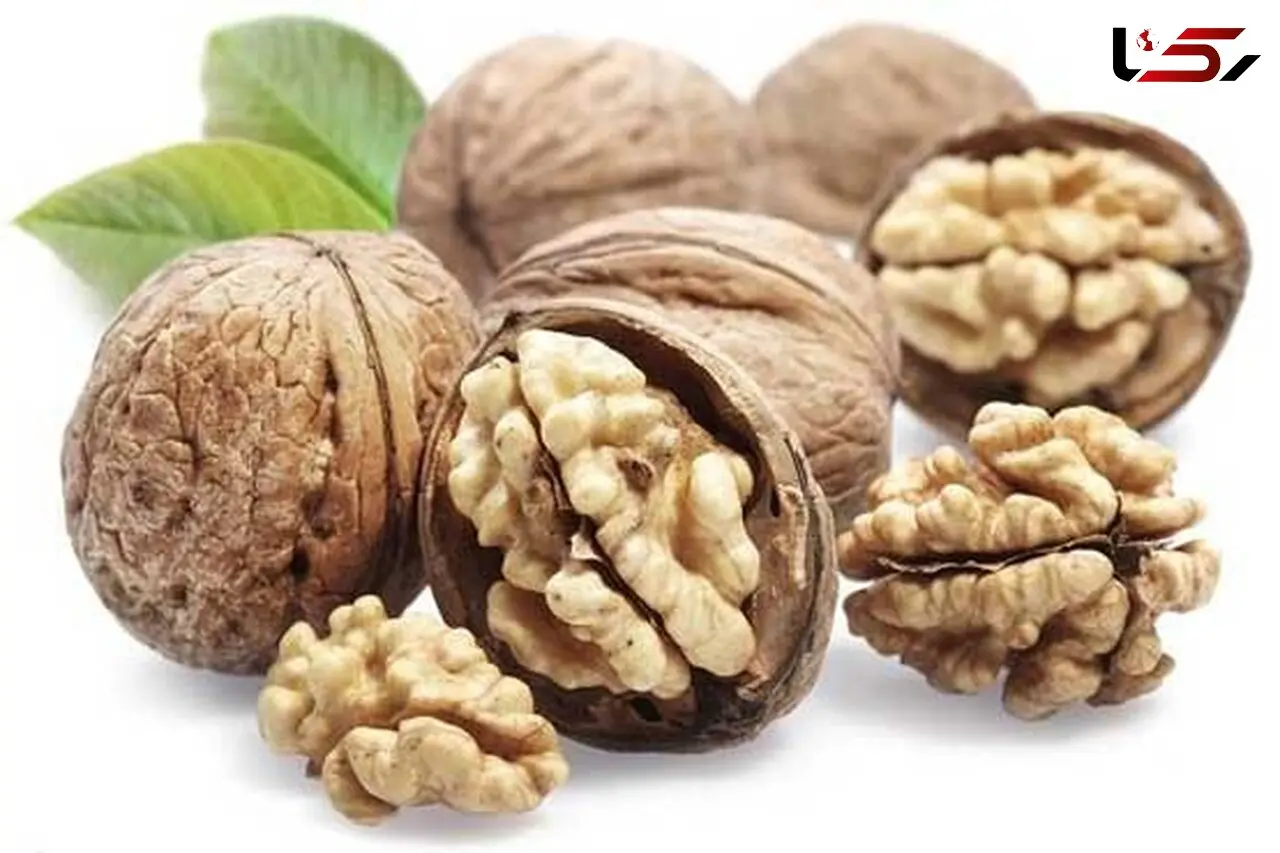 خواص شگفت‌انگیز گردو در درمان ناباروری مردان