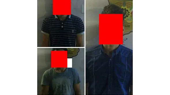 دزدان خیابان های قلعه حسن خان در دام پلیس + عکس