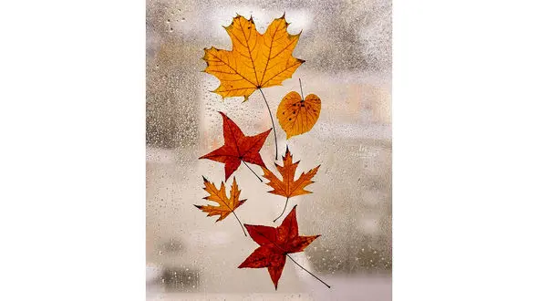 فال ابجد امروز 17 مهر 1402 / فیلم