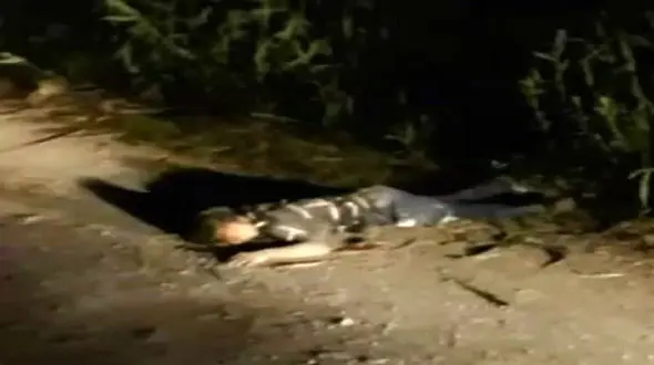 برق سارق بابلی را گرفت + عکس