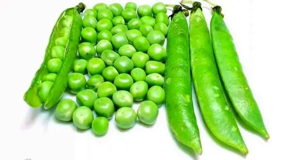 درمان سرطان های هورمون جنسی با نخود فرنگی