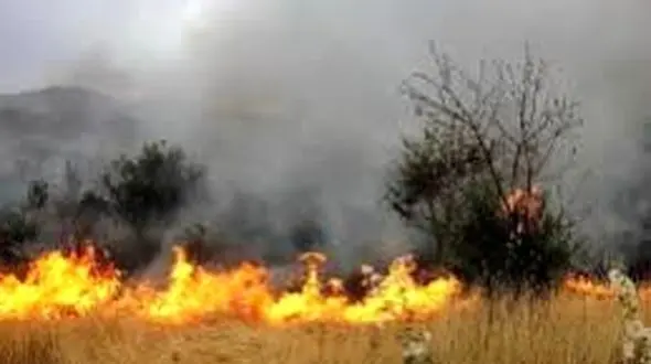 راه اندازی سامانه تلفنی امداد جنگل و مرتع در ایلام / مردم با 139 تماس بگیرند