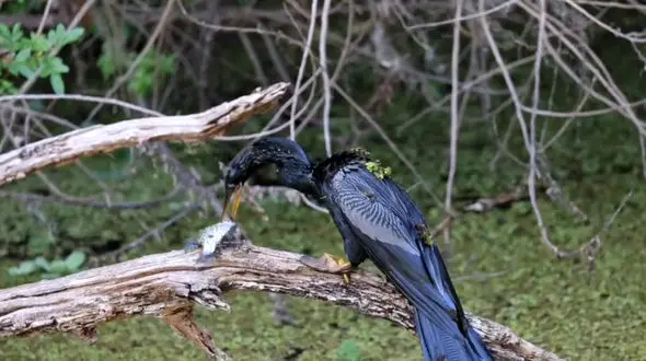 ببینید / از وضعیت وخیم در "کیف" تا آتش سوزی گسترده در  دهلی 