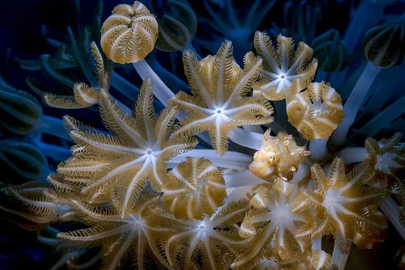_356523