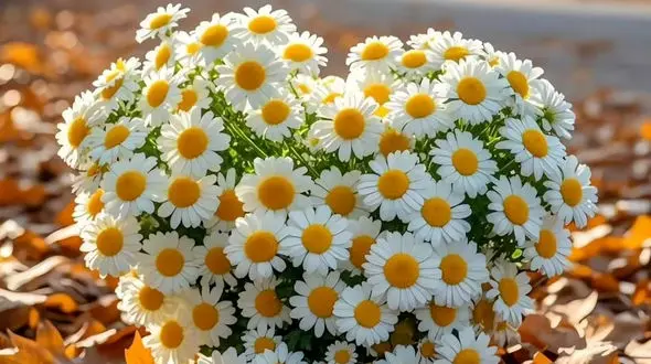 فال و طالع بینی روزانه 14 آذر + فیلم 