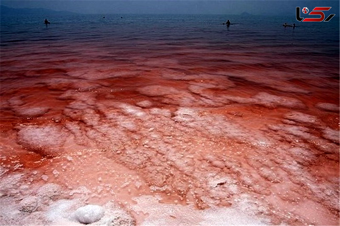 دریاچه ارومیه قرمز شد