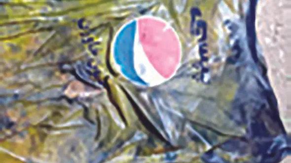 این زن را می شناسید؟ / جسدش از داخل چاه متروکه پیدا شد + عکس 