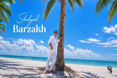 دانلود آهنگ شهیاد برزخ؛ نرنج از منی که خودم زخمیم