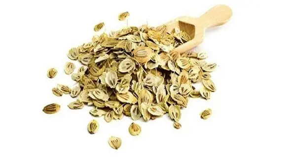 راز پاکسازی کبد با این گیاه طبیعی و معطر