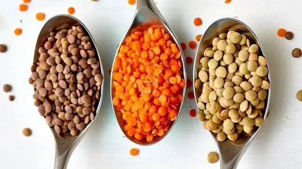 دیابت را ضربه فنی کنید