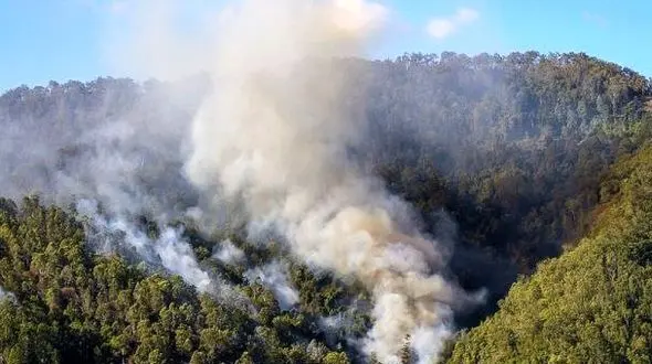 آتش برجان جنگل های گیلان افتاد