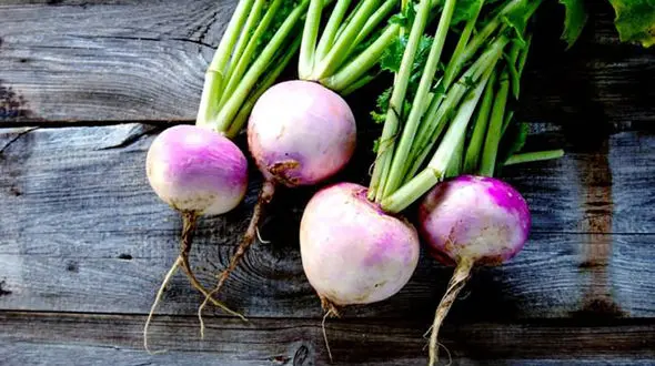 شلغم دشمن پوکی استخوان