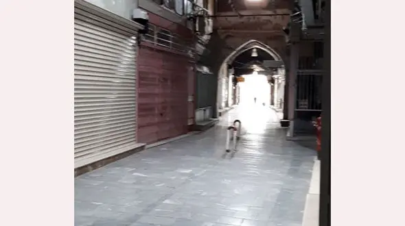 گلپایگان نارنجی شد /بازار بازگشایی می شود + فیلم