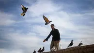 فیلم /  صدها کفترباز ایرانی وسط بیابان دراز کشیده‌اند و به آسمان خیره شده‌اند؟ ماجرای عجیب این فیلم پربازدید!