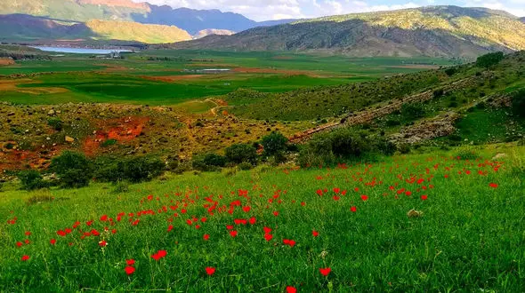 تاریخچه طبیعت گرایی + فیلم