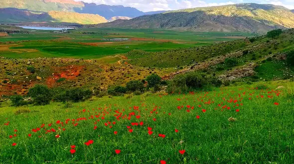تاریخچه طبیعت گرایی + فیلم
